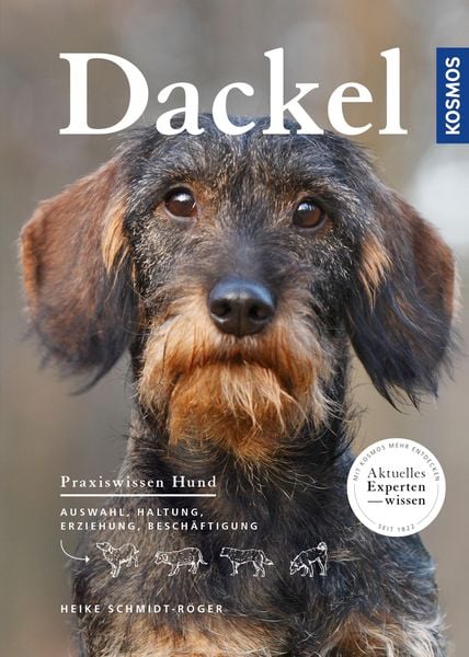 Produktbild: Dackel