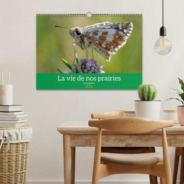 Produktbild: La vie de nos prairie, les papillons (Calendrier mural 2026 DIN A3 vertical), CALVENDO calendrier mensuel