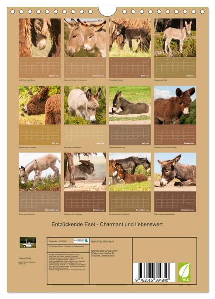 Produktbild: Entz&uuml;ckende Esel - Charmant und liebenswert (Wandkalender 2026 DIN A4 hoch), CALVENDO Monatskalender