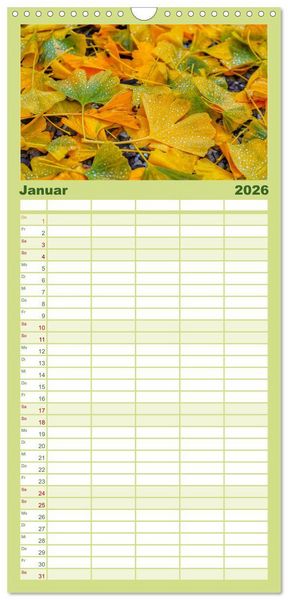 Produktbild: Familienplaner 2026 - Mit Ginkgo biloba durch das Jahr mit 5 Spalten (Wandkalender, 21 x 45 cm) CALVENDO
