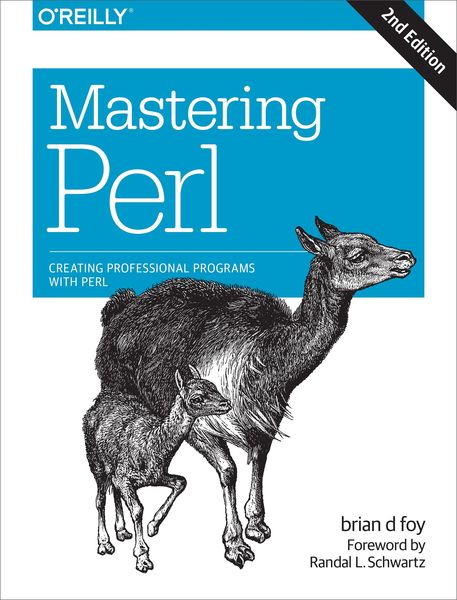 Produktbild: Mastering Perl