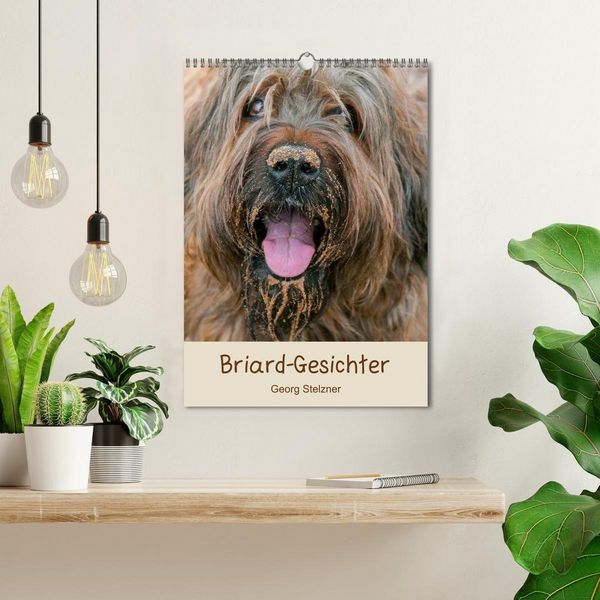Produktbild: Briard-Gesichter (Wandkalender 2027 DIN A3 hoch), CALVENDO Monatskalender