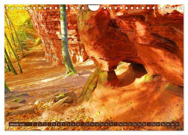 Produktbild: Der Altschlossfelsen - Gr&ouml;&szlig;te Felsformation der Pfalz im herbstlichen Farbspiel (Wandkalender 2026 DIN A4 quer), CALVENDO Monatskalender