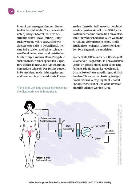 Produktbild: Frauengesundheit: Endometriose