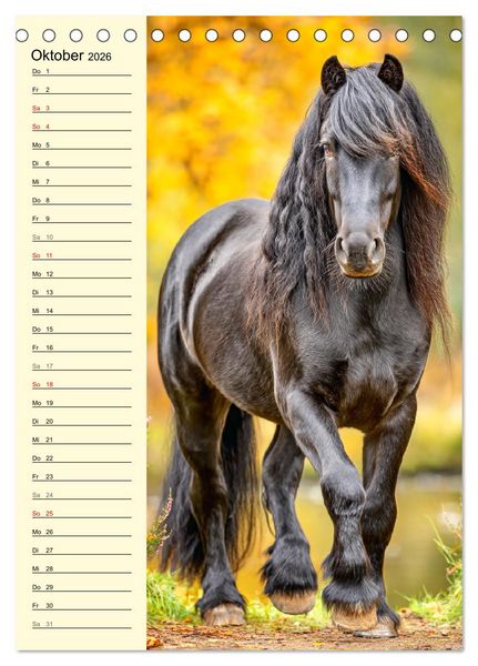 Produktbild: Zauber der Ponys. Kleine Pferde in der Natur (Tischkalender 2026 DIN A5 hoch), CALVENDO Monatskalender