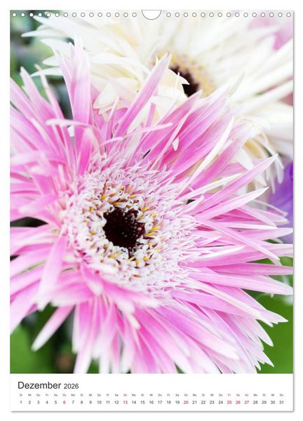 Produktbild: Verliebt in Blumen (Wandkalender 2026 DIN A3 hoch), CALVENDO Monatskalender