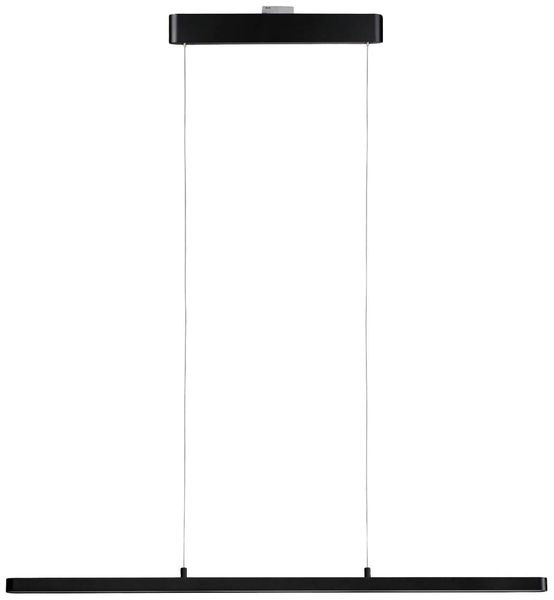 Produktbild: Paulmann LED-Pendelleuchte URail 42W LED Schwarz (matt)