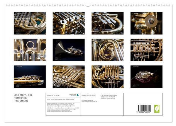 Produktbild: Das Horn, ein herrliches Instrument (hochwertiger Premium Wandkalender 2026 DIN A2 quer), Kunstdruck in Hochglanz