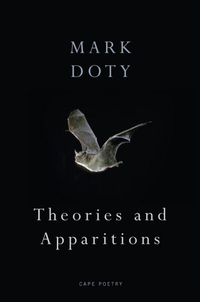 Produktbild: Theories and Apparitions