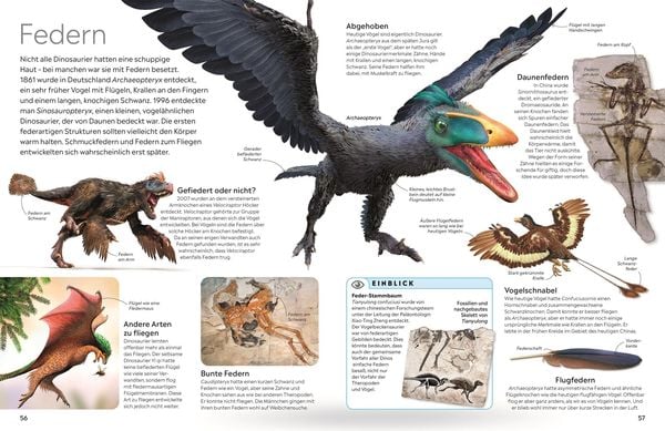 Produktbild: memo Wissen. Dinosaurier