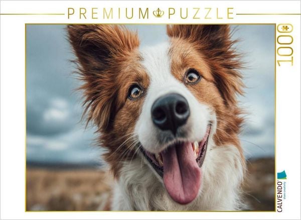 CALVENDO Puzzle Freiheit spüren, Abenteuer leben | 1000 Teile Lege-Größe 64 × 48 cm Foto-Puzzle für glückliche Stunden