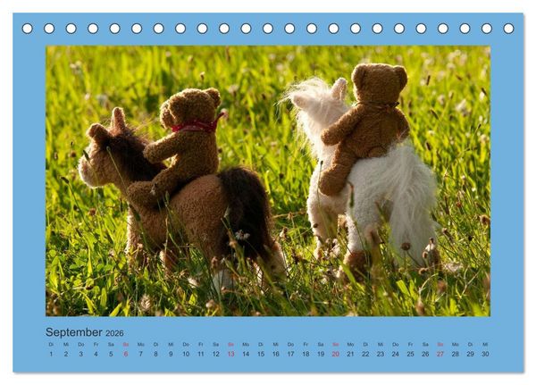 Produktbild: Teddys Meine Freunde (Tischkalender 2026 DIN A5 quer), CALVENDO Monatskalender