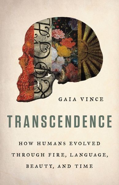 Produktbild: Transcendence