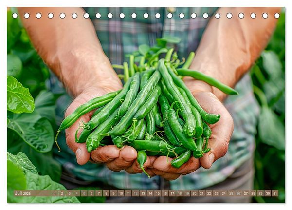 Produktbild: Mein Gem&uuml;segarten - Ein Jahr knackig frisches Gem&uuml;se (Tischkalender 2026 DIN A5 quer), CALVENDO Monatskalender