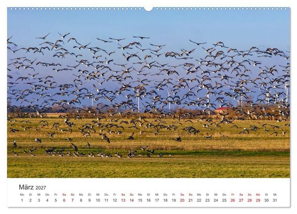 Produktbild: Schutzgebiet Wattenmeer (hochwertiger Premium Wandkalender 2027 DIN A2 quer), Kunstdruck in Hochglanz