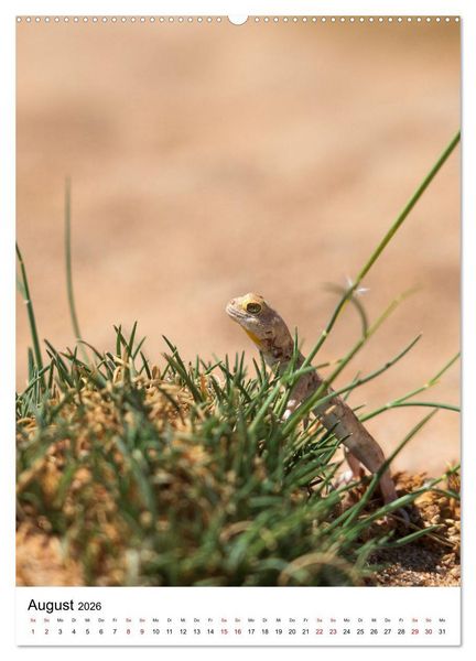 Produktbild: Naturparadies Namibia (hochwertiger Premium Wandkalender 2026 DIN A2 hoch), Kunstdruck in Hochglanz