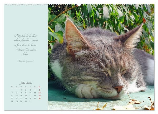 Produktbild: H&auml;ng einfach mal ab (hochwertiger Premium Wandkalender 2026 DIN A2 quer), Kunstdruck in Hochglanz