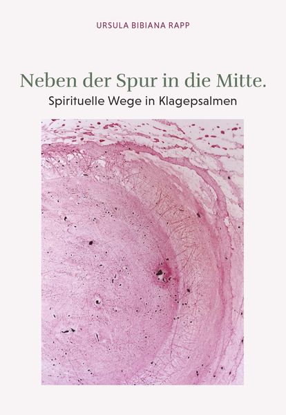 Produktbild: Neben der Spur in die Mitte