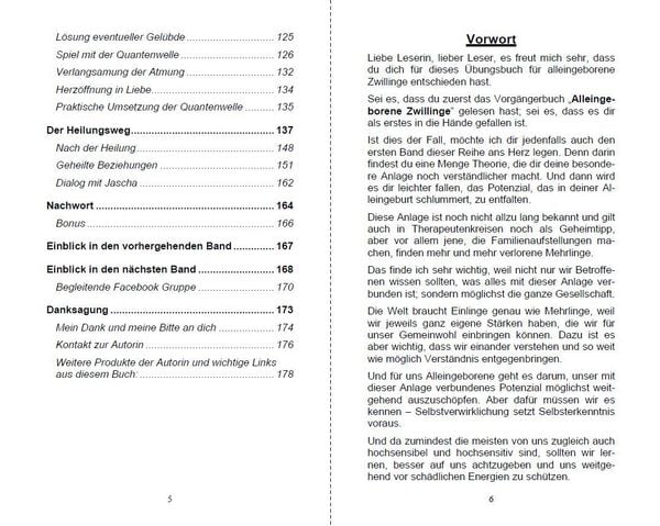 Produktbild: Alleingeborener Zwilling auf dem Weg in die Selbstheilung