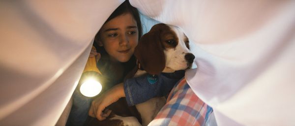 Produktbild: Bailey - Ein Hund kehrt zur&uuml;ck