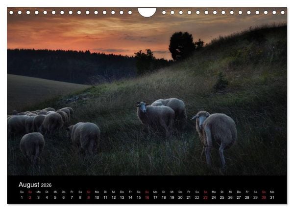 Produktbild: M&auml;rchenkulissen II (Wandkalender 2026 DIN A4 quer), CALVENDO Monatskalender