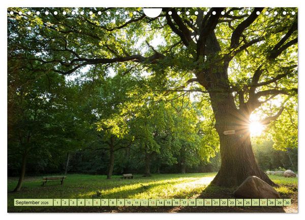 Produktbild: Gr&uuml;nes Halle/Saale - Meine wilde H&auml;ndelstadt (Wandkalender 2026 DIN A4 quer), CALVENDO Monatskalender