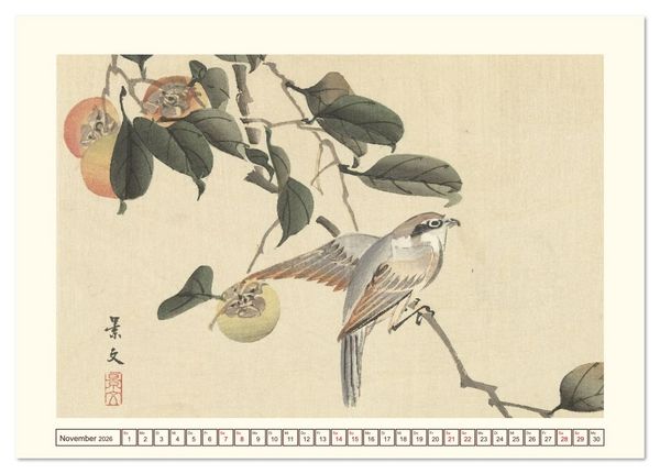 Produktbild: Bl&uuml;te und Feder (Tischkalender 2026 DIN A5 quer), CALVENDO Monatskalender