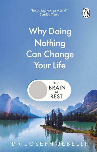 Produktbild: The Brain at Rest
