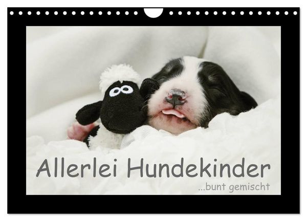 Produktbild: Allerlei Hundekinder (Wandkalender 2026 DIN A4 quer), CALVENDO Monatskalender