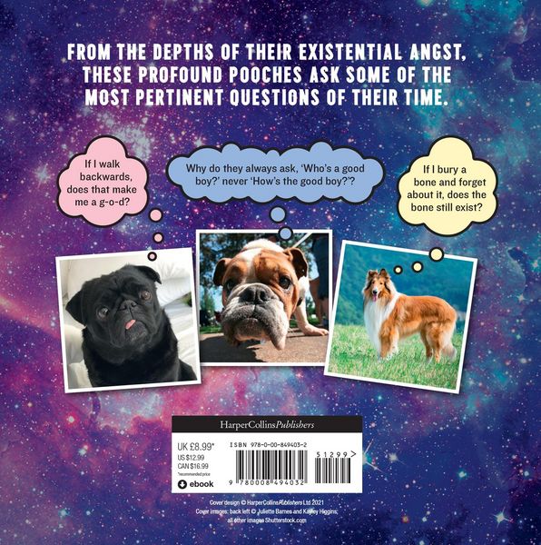 Produktbild: Bandara, P: Existential Dogs