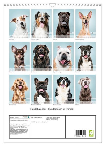 Produktbild: Hundekalender - Hunderassen im Portrait (Wandkalender 2026 DIN A3 hoch), CALVENDO Monatskalender