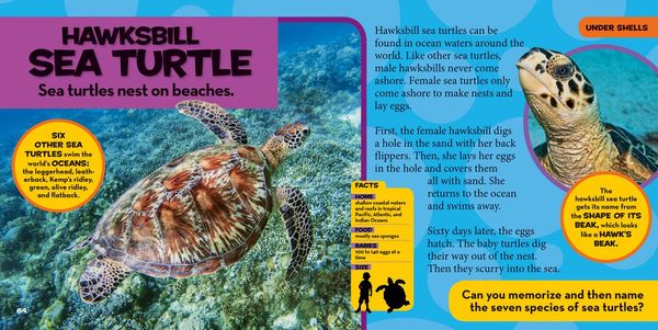 Produktbild: National Geographic Little Kids First Big Book of Reptiles and Amphibians
