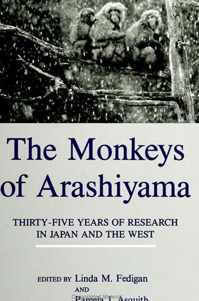 Produktbild: The Monkeys of Arashiyama