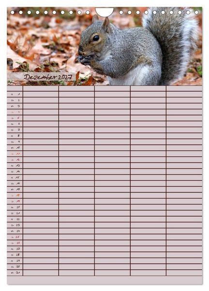 Produktbild: Tierischer Familienplaner (Wandkalender 2027 DIN A4 hoch), CALVENDO Monatskalender