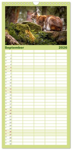 Produktbild: Familienplaner 2026 - Der Luchs - Begegnungen mit einer Raubkatze mit 5 Spalten (Wandkalender, 21 x 45 cm) CALVENDO