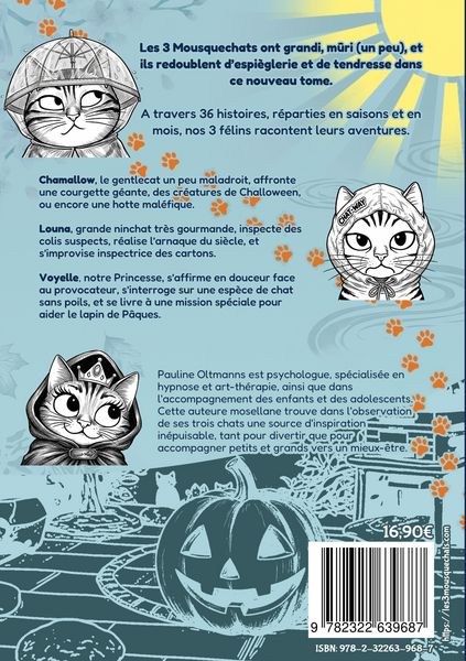 Produktbild: Les 3 Mousquechats - tome 2