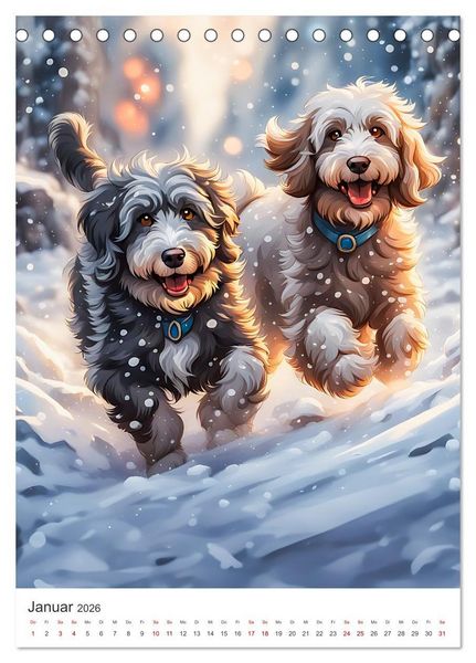 Produktbild: Der Aussiedoodle - Lebensfreude pur (Tischkalender 2026 DIN A5 hoch), CALVENDO Monatskalender