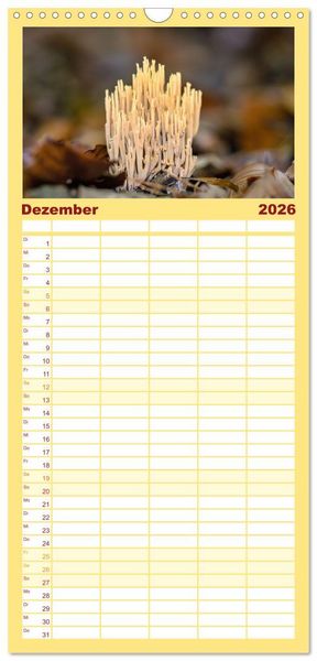 Produktbild: Familienplaner 2026 - Fantastische Pilzwelten mit 5 Spalten (Wandkalender, 21 x 45 cm) CALVENDO