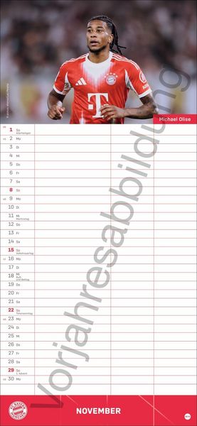 Produktbild: FC Bayern M&uuml;nchen Fanplaner 2027