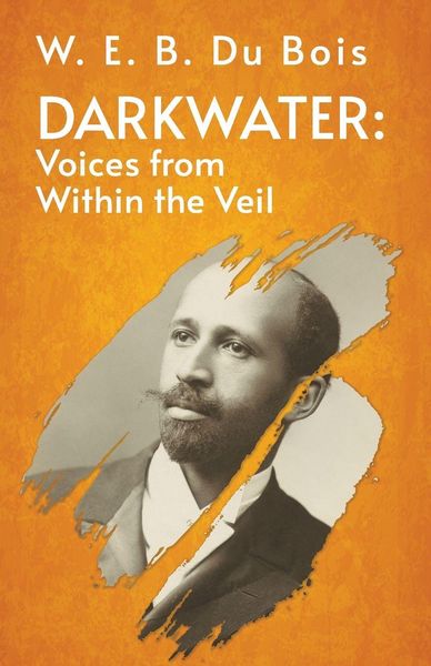Produktbild: Darkwater Voices From Within The Veil