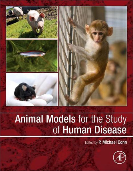 Produktbild: Animal Models for the Study of Human Disease