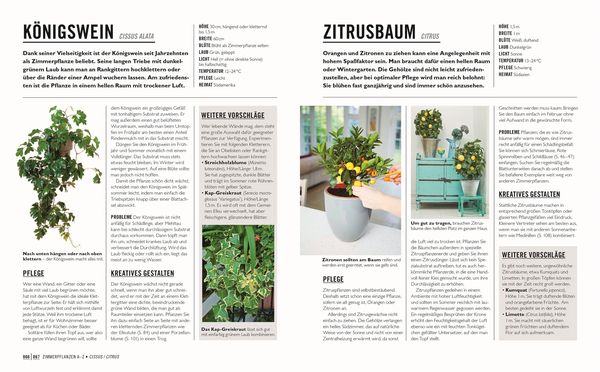 Produktbild: Gr&uuml;nes Gartenwissen. Die sch&ouml;nsten Zimmerpflanzen