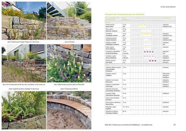 Produktbild: Kleiner Garten naturnah