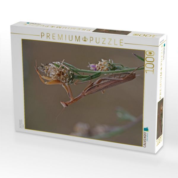 Produktbild: CALVENDO Puzzle Eine Sch&ouml;nheit | 1000 Teile Lege-Gr&ouml;&szlig;e 64x48cm Foto-Puzzle f&uuml;r gl&uuml;ckliche Stunden