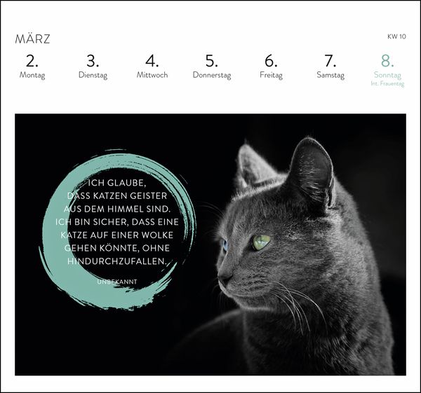 Produktbild: Postkartenkalender 2026: Inspirierende Worte für Katzenfreunde