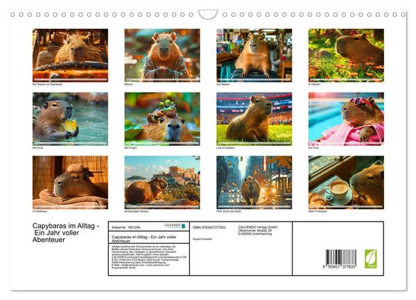 Produktbild: Capybaras im Alltag - Ein Jahr voller Abenteuer (Wandkalender 2026 DIN A3 quer), CALVENDO Monatskalender