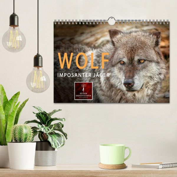 Produktbild: Wolf - Imposanter J&auml;ger (Wandkalender 2026 DIN A4 quer), CALVENDO Monatskalender