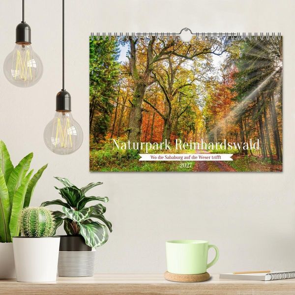 Produktbild: Naturpark Reinhardswald - Wo die Sababurg auf die Weser trifft (Wandkalender 2027 DIN A4 quer), CALVENDO Monatskalender