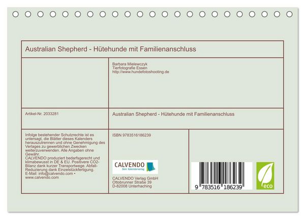 Produktbild: Australian Shepherd - H&uuml;tehunde mit Familienanschluss (Tischkalender 2026 DIN A5 quer), CALVENDO Monatskalender