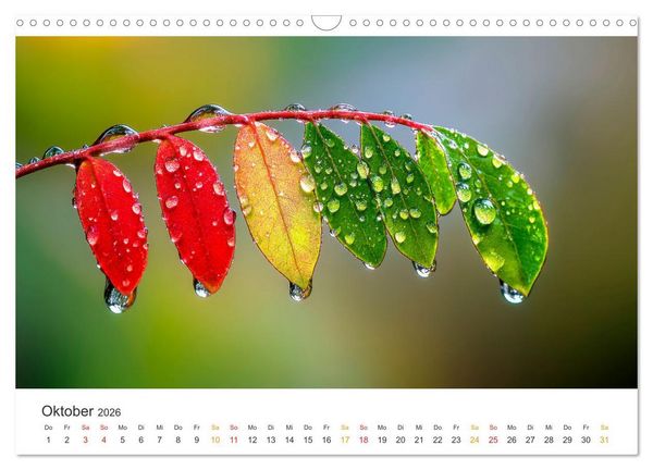 Produktbild: Zauber der Tropfen (Wandkalender 2026 DIN A3 quer), CALVENDO Monatskalender
